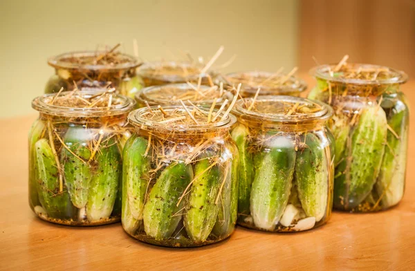 Pickling Cucumbers in glass jars — Stock Photo, Image