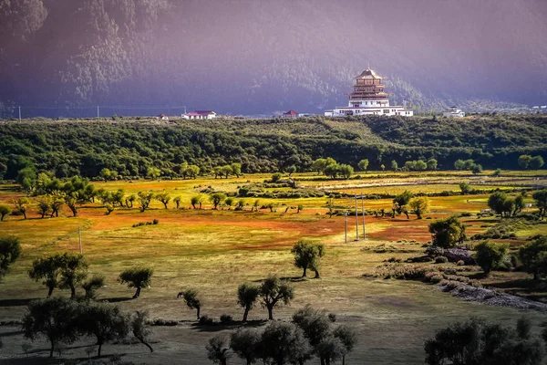 Chińskiej pagody w Tybecie — Zdjęcie stockowe