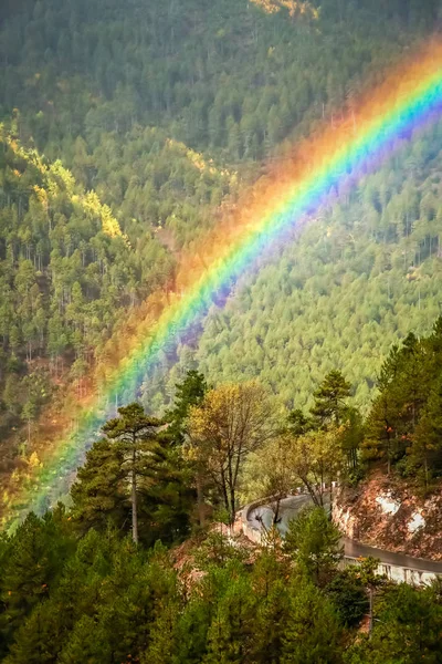 道路上の虹 — ストック写真