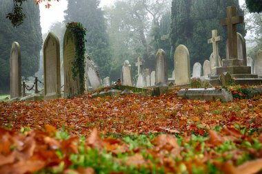 Cementery in autumn clipart