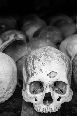 Skulls At Killing Fields clipart
