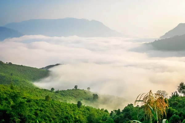 Mgła w dolinie — Zdjęcie stockowe
