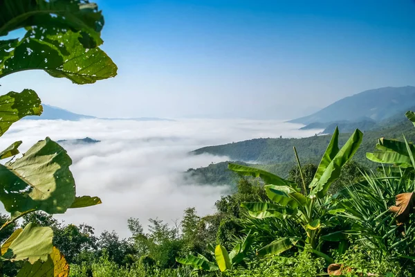 Oceano di nebbia — Foto Stock