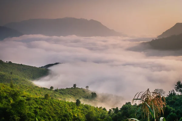 Mgła w dolinie — Zdjęcie stockowe