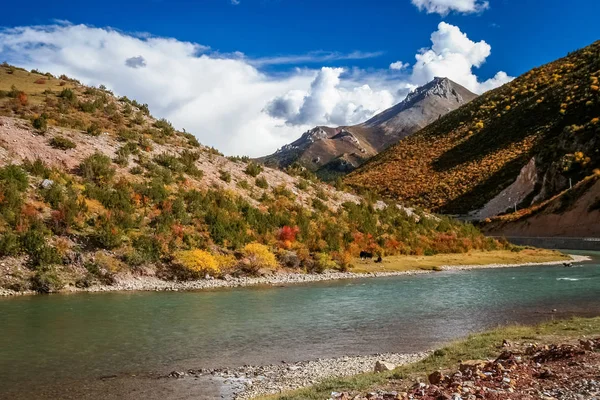 Тибетский речной пейзаж — стоковое фото