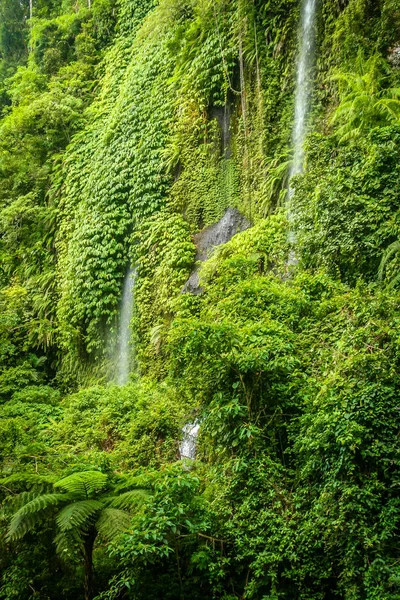 龙目岛的热带瀑布 — 图库照片