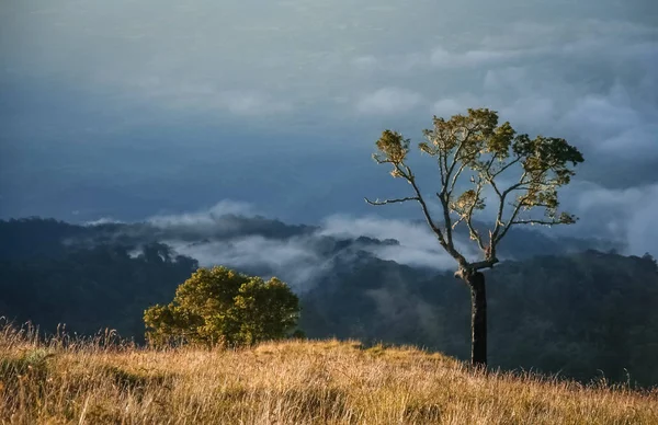 Gunung Rinjani'den Görüntüle — Stok fotoğraf