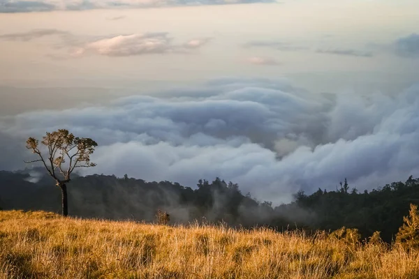 Gunung Rinjani'den Görüntüle — Stok fotoğraf