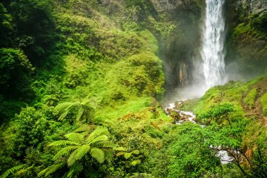 Sipisu Pisu Waterfall clipart