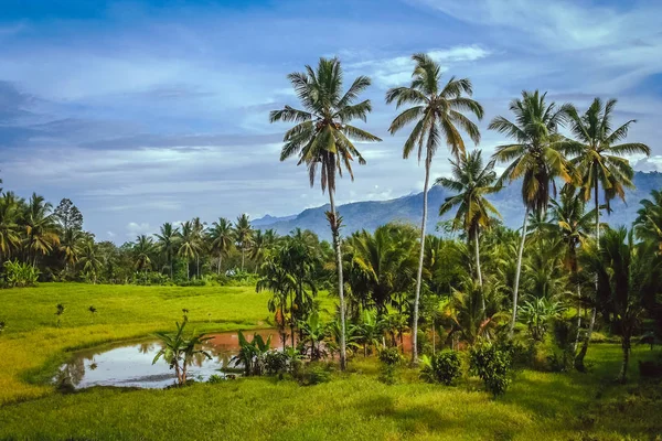 Paesaggio tropicale indonesiano — Foto Stock