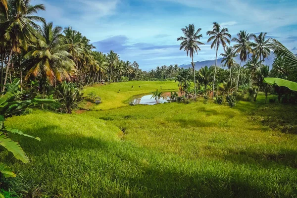 印尼的热带景观 — 图库照片