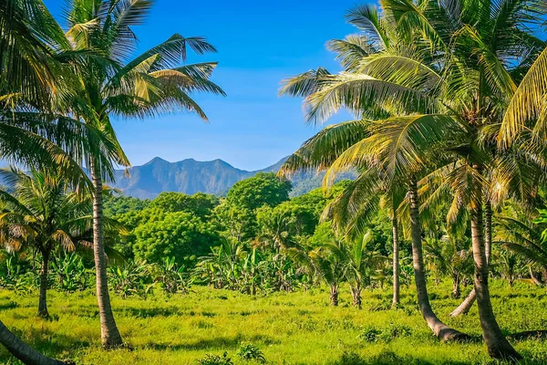 Краєвид острова Sumbava — стокове фото