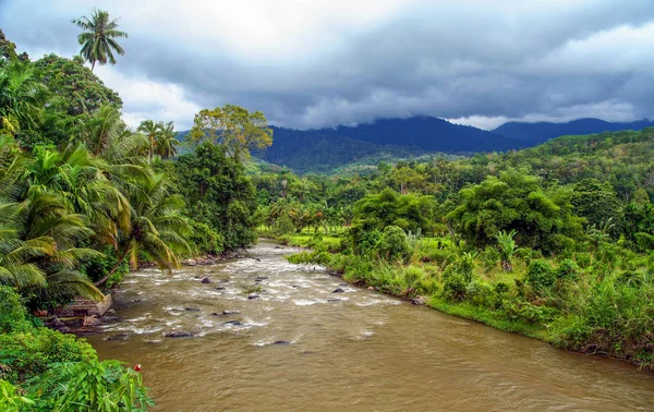 Річки у джунглях в Індонезії — стокове фото
