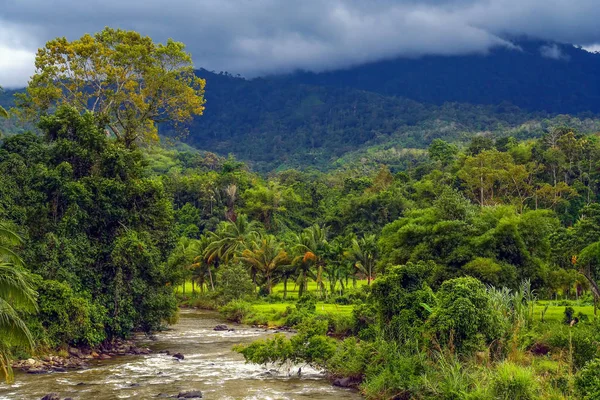 Dzsungel folyó Indonéziában — Stock Fotó