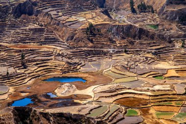 Kanyon Colca Teras alanları 