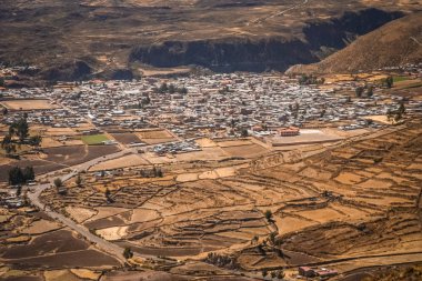Kanyon Colca köyde Chivas
