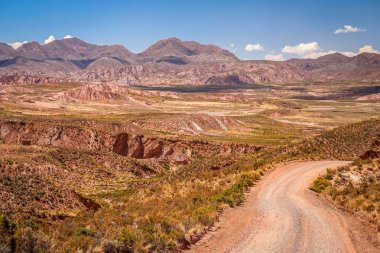 Bolivya vahşi aracılığıyla yol