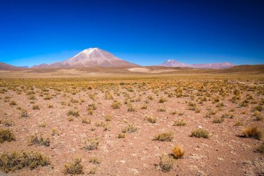 Altiplano volkanik manzara
