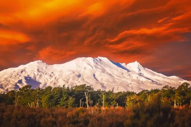 Mount Ruapehu volkan
