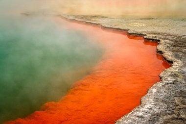 Rotorua şampanya Havuzu