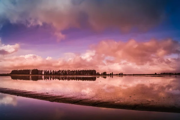 Garis pantai Selandia Baru — Stok Foto