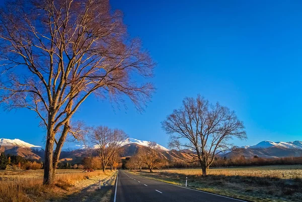 Yeni Zelanda dağ manzarası — Stok fotoğraf