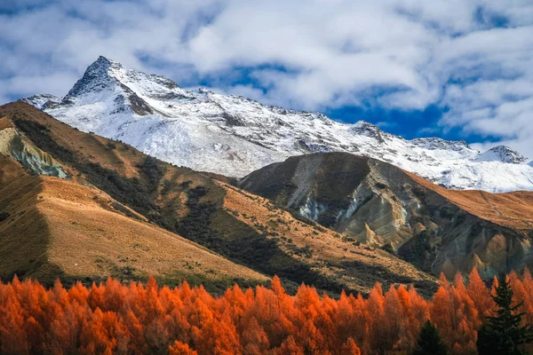 ニュージーランドの山の風景 — ストック写真