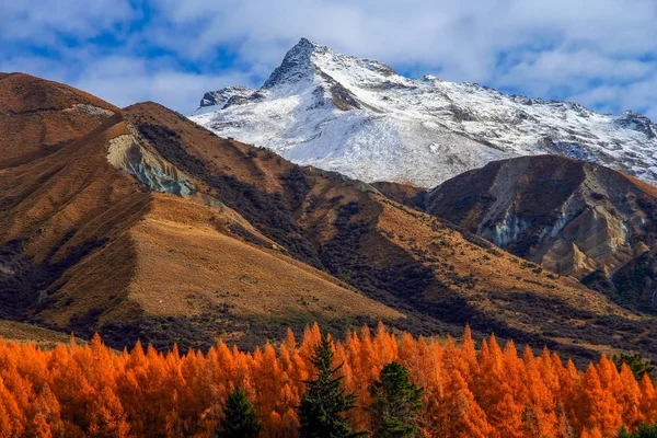 新西兰山风光 — 图库照片