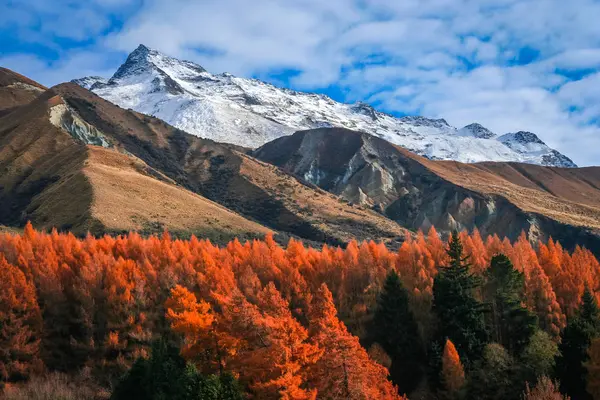 Paisagem de montanha da Nova Zelândia — Fotografia de Stock