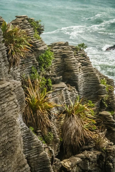 Panqueque de rocas en la costa — Foto de Stock