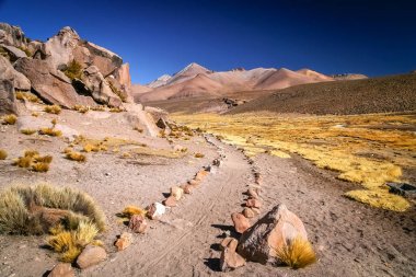 Park Lauca içinde yürüyüş yolu