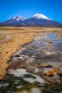 Park Lauca manzara