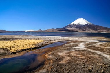 Park Lauca manzara