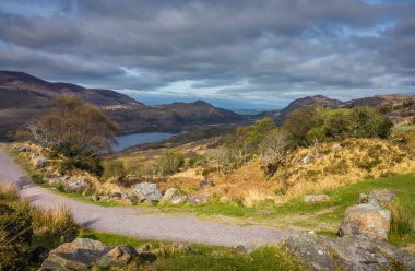 Killarney Milli Park peyzaj