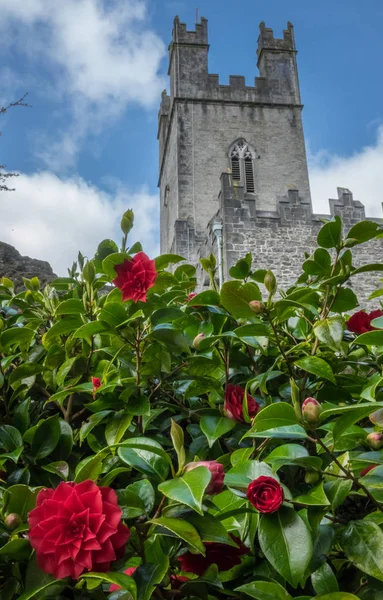 Alte Marienkathedrale — Stockfoto