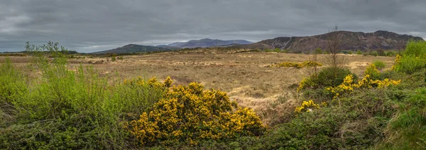 Panorama z irlandzkiego krajobrazu wiejskiego — Zdjęcie stockowe