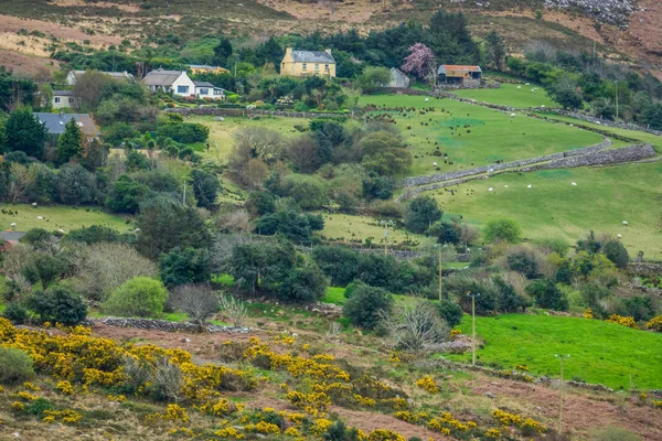 Bauernhof in der ländlichen irischen Landschaft — Stockfoto