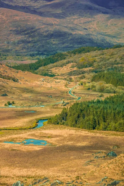 Údolí v národním parku Killarney — Stock fotografie