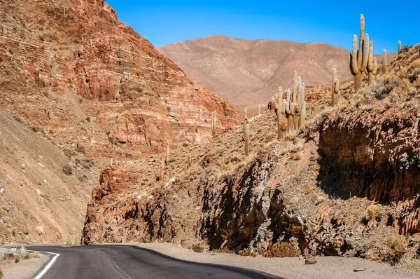 Estrada vazia na Argentina — Fotografia de Stock