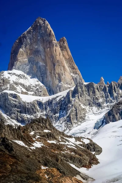 Yeşil Patagonya papağan