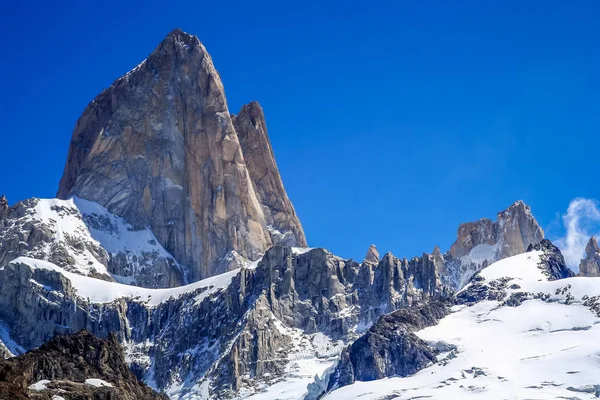 녹색 Patagonian 앵무새 — 스톡 사진