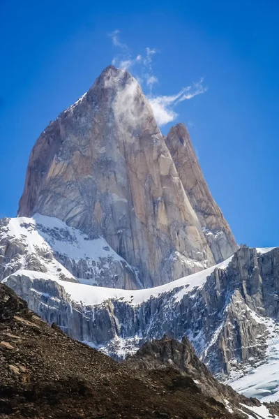 Yeşil Patagonya papağan