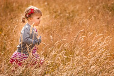 Yüksek çimlerin yürüyüş