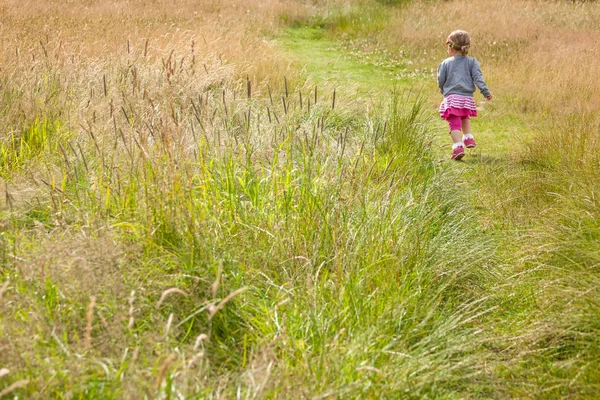 Marcher dans l'herbe haute — Photo