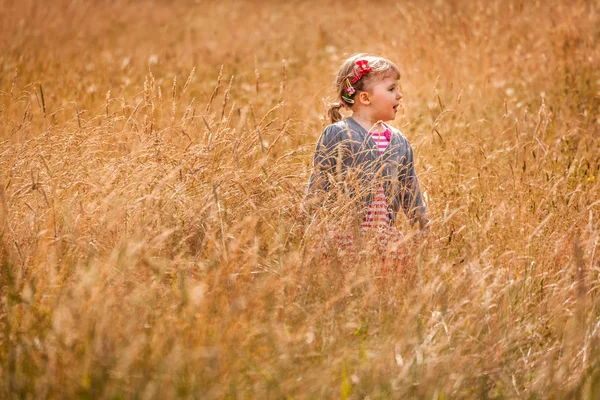 Menina na grama alta — Fotografia de Stock