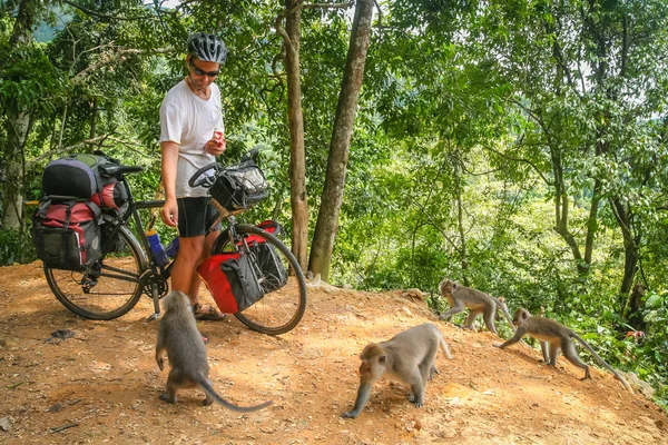 Велосипедист годувати мавп в Балі — стокове фото