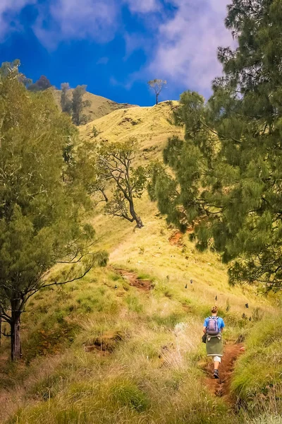 Trekker marchant sur le chemin du sommet de Gunung Rinjani — Photo