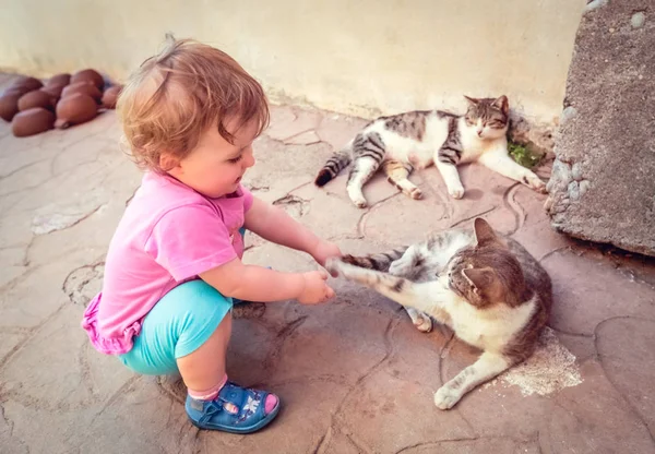 Malá dívka si hraje s kočkami — Stock fotografie