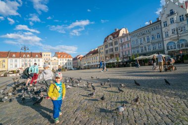 Pidgeons Bydgoszcz eski kentte besleme çocuk