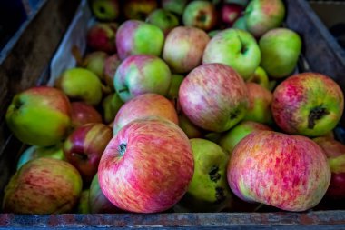 Satılık taze kırmızı ve yeşil elma
